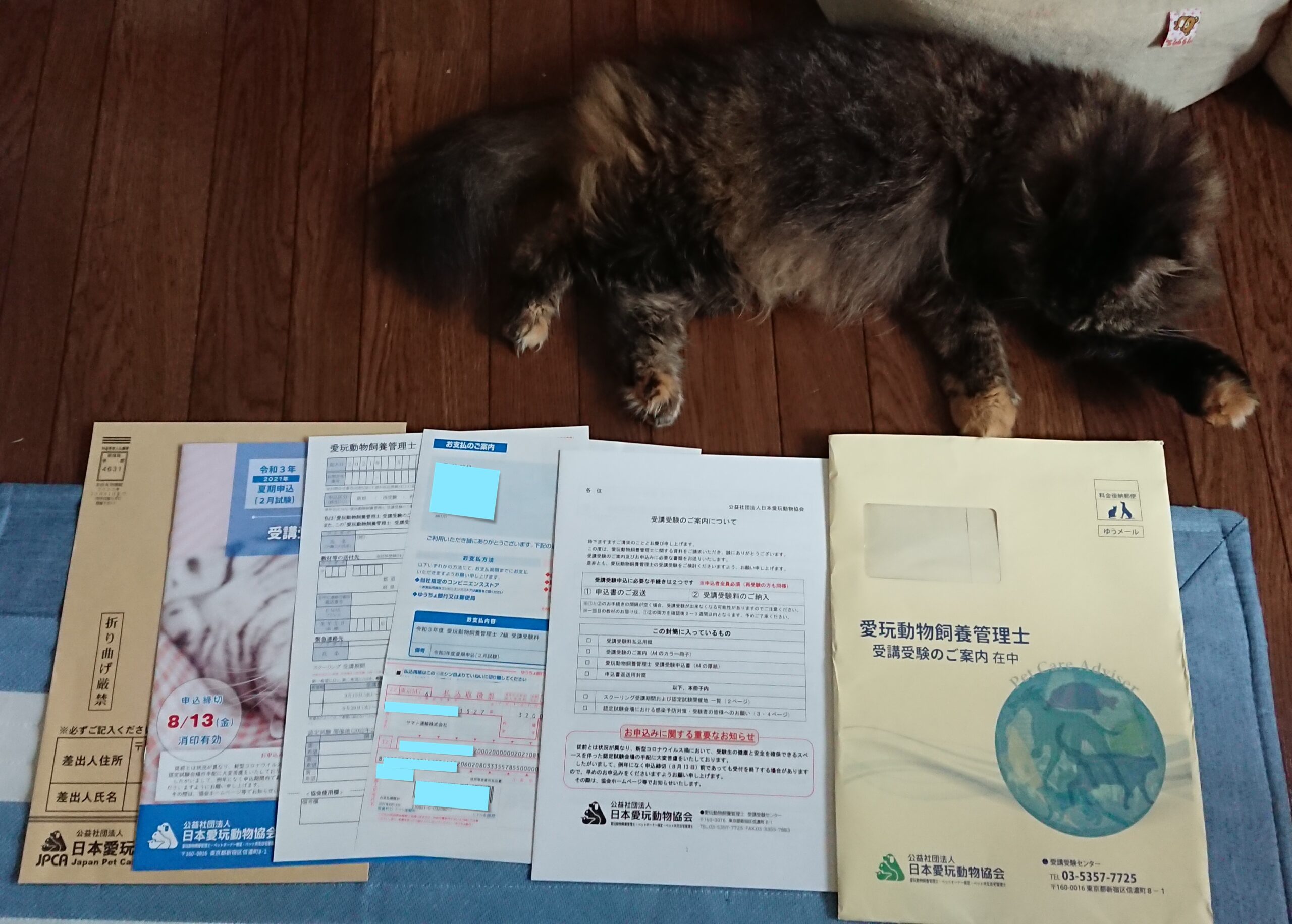 愛玩動物飼養管理士試験用の資料と猫